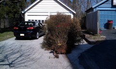 Can you see a truck? Nope, no truck here!