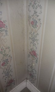 Closeup, complete with grime from previous owners.