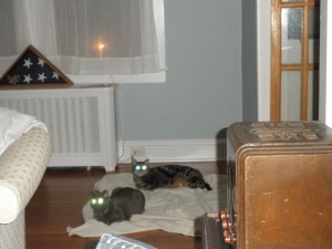 "This drop cloth was for us, right?"