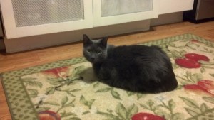 IMG_20130328_201828_743