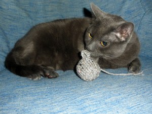 don't worry - she's trained.