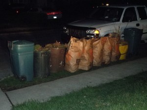 alllllllll from the garden