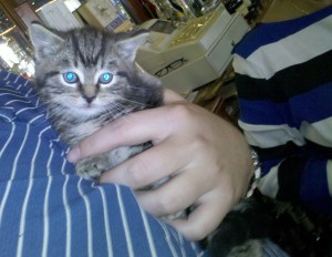 2010-05-22 15.31.44 crop