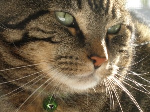 is this my good side?