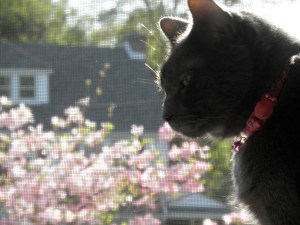 "I have perfected my glare of disdain at my brother"