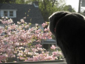 "Think I can catch one for dinner?"