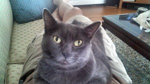 IMG_20130716_143323_538