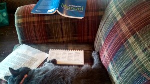 IMG_20130809_094031_477