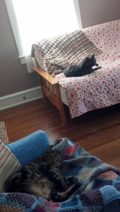 IMG_20130816_120343_876