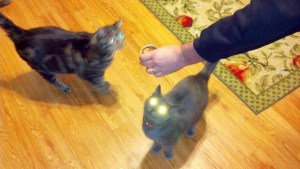 laser beams engage in 3... 2.... 1....