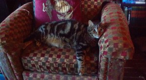 IMG_20131102_090201_001