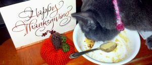 IMG_20131129_201355_838