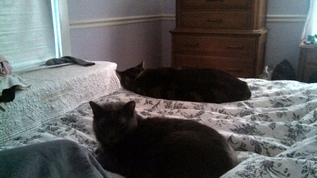 IMG_20131205_154740_587