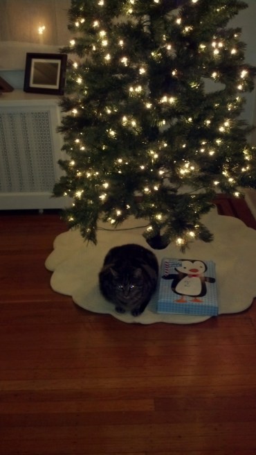 IMG_20131209_210927_790