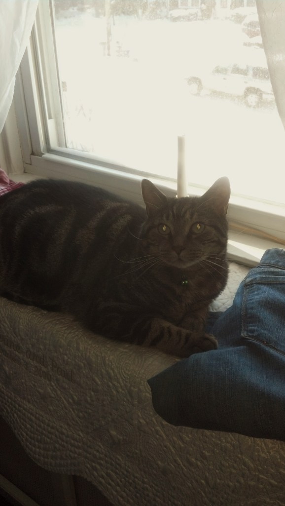 IMG_20140103_111052_746