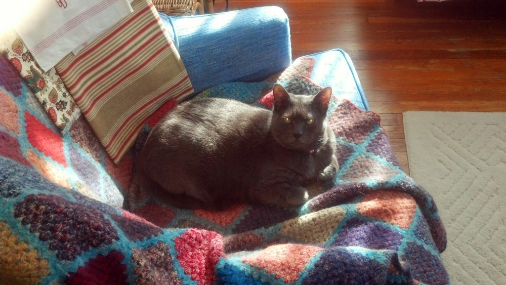 IMG_20140103_111154_693