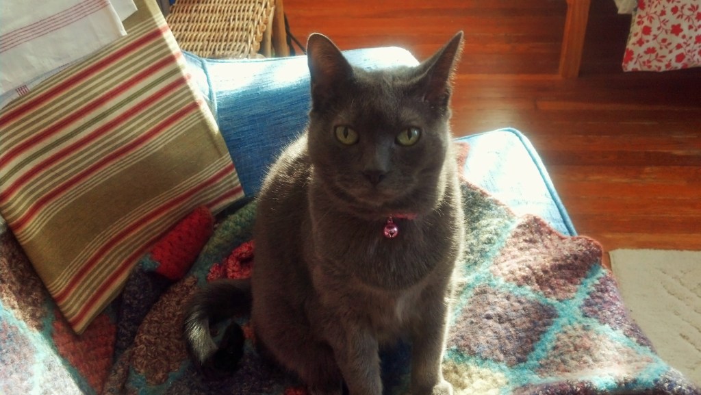 IMG_20140103_111211_836