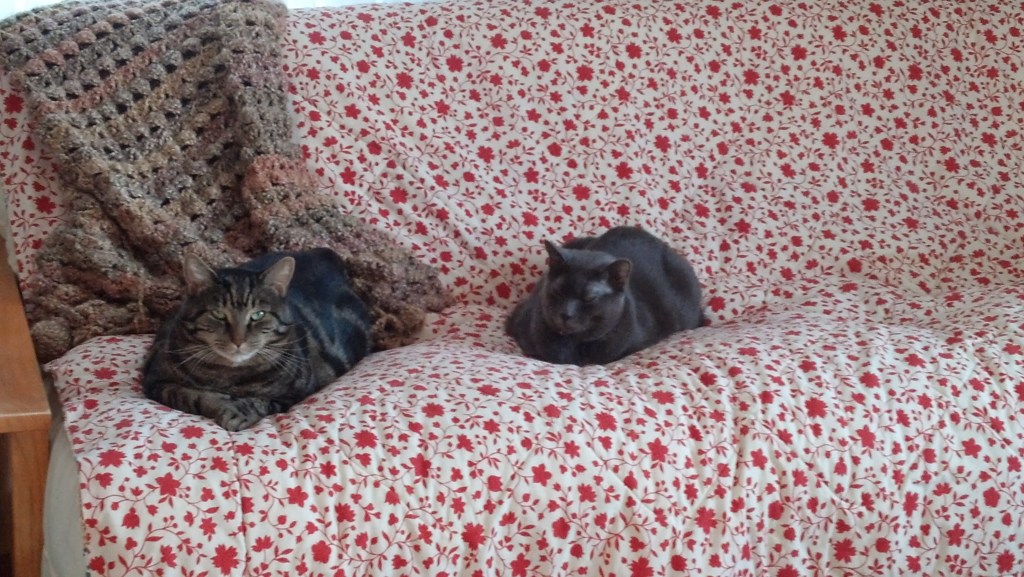 IMG_20140131_153355_217