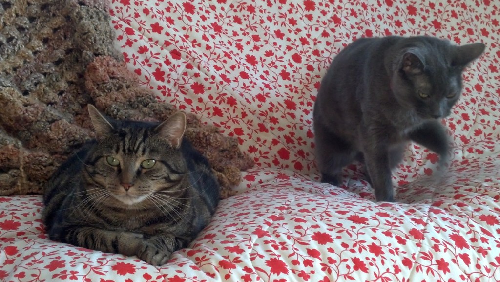 IMG_20140131_153406_093