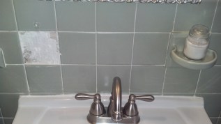 IMG_20140203_162829_904