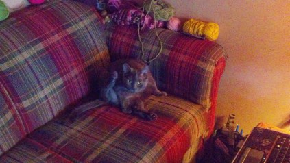 IMG_20140302_092152_991