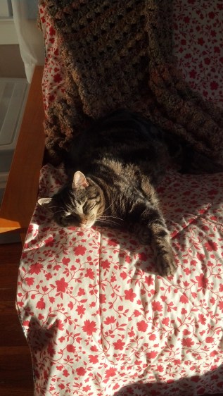 IMG_20140321_180637_502