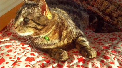 IMG_20140321_180938_936