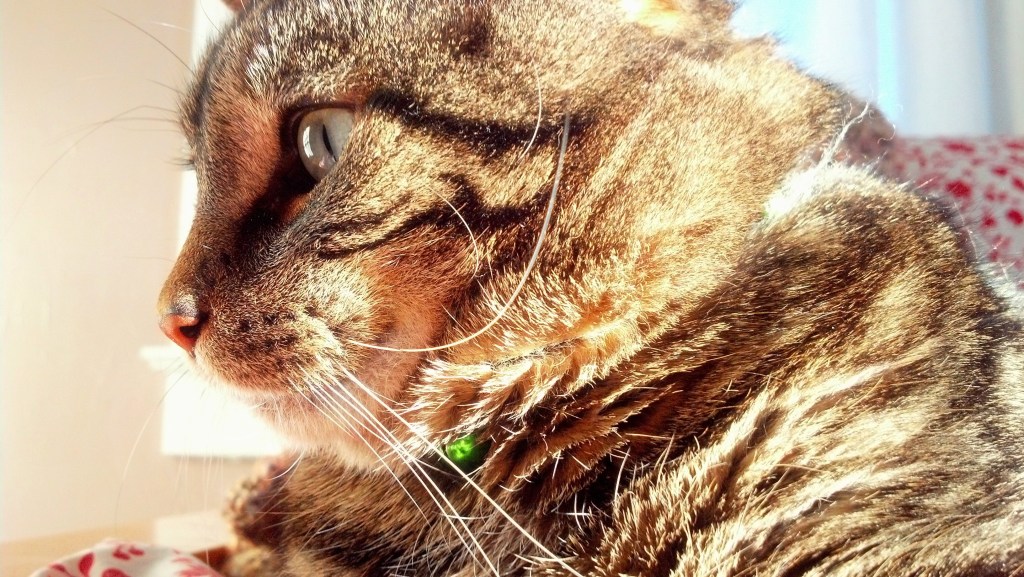 IMG_20140321_181102_882