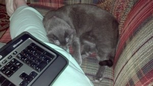 IMG_20140328_223148_258 (1)