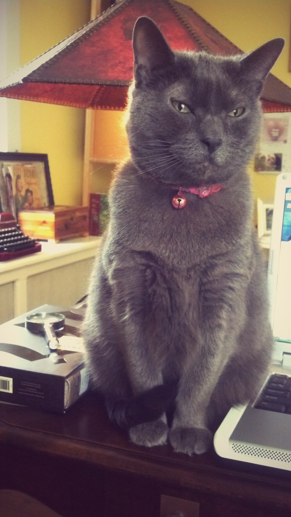 IMG_20140404_141135_543