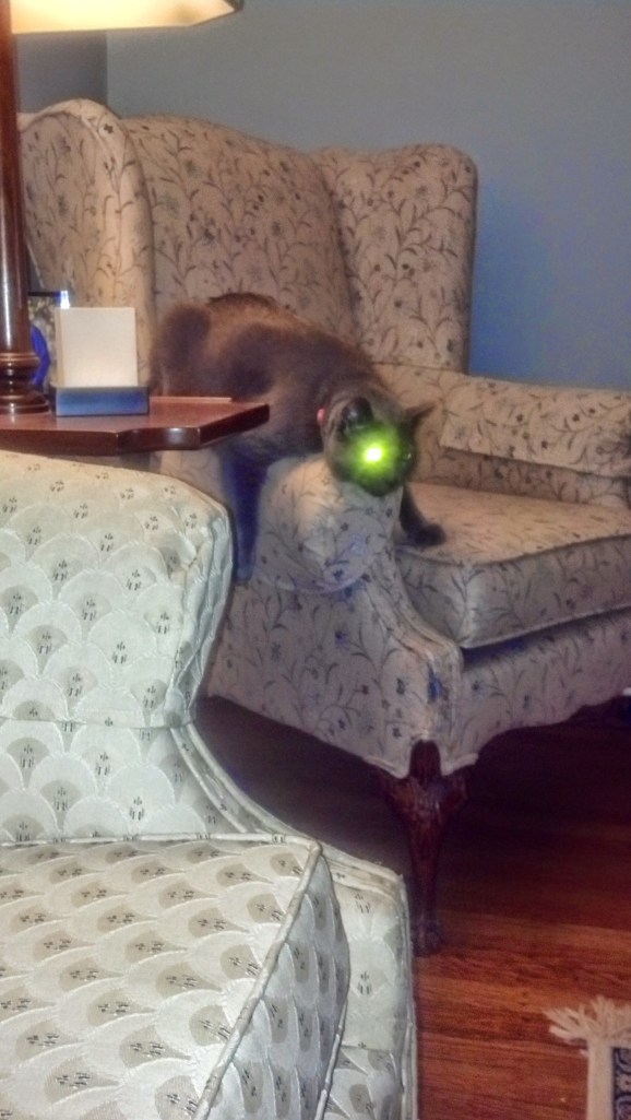 IMG_20140616_215647_192