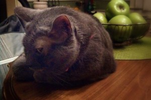 IMG_20140711_213859_163