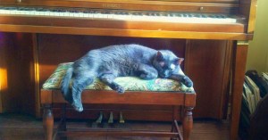 IMG_20140914_173943_659