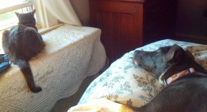 IMG_20140918_180755_989