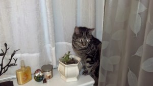 IMG_20140502_231108_128