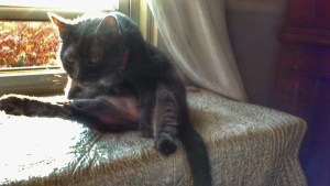 IMG_20140918_181335_831