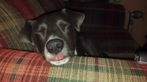 IMG_20141113_215246_239