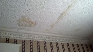 1014681_986082106733_1610648438_o