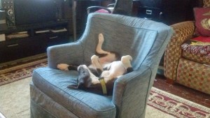 IMG_20140730_155534_472