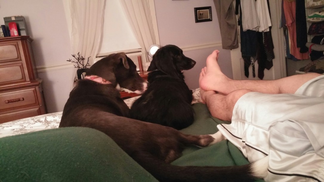 0612152255f.jpg image