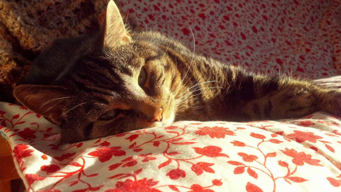 IMG_20140321_180743_095