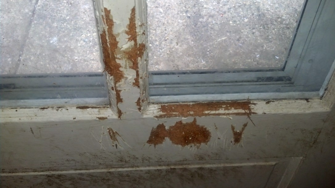 IMG_20140714_175926_918