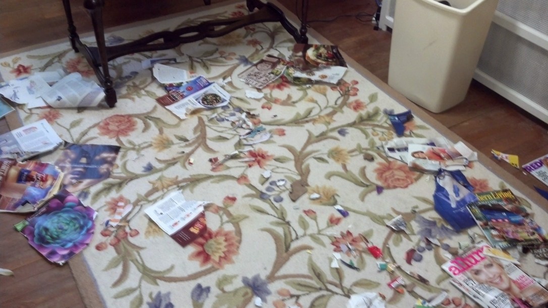 IMG_20140812_174454_982