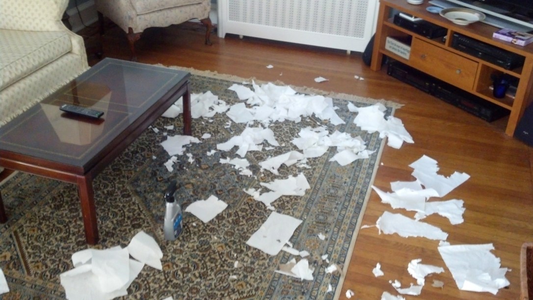 IMG_20140814_172739_980