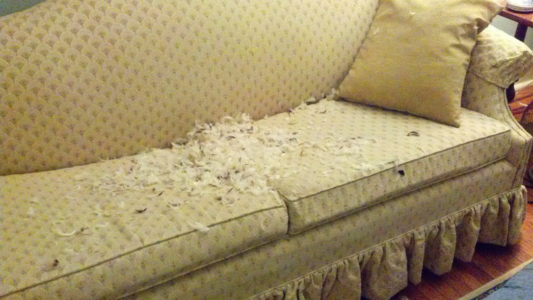 IMG_20141101_182209_436